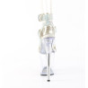 Pleaser FLAMINGO-856RS Strass Pole Dance High Heels