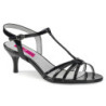 Pleaser Pink Label KITTEN-06 High Heels for men