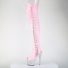 Pleaser BEJEWELED-3052HG-7 Rose Hologram Patent Silver
