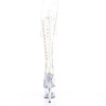 Pleaser ADORE-2021C Transparent Sale Women
