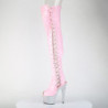 Pleaser BEJEWELED-3052HG-7 Rose Hologram Patent Silver