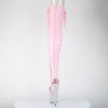Pleaser BEJEWELED-3052HG-7 Rose Hologram Patent Silver