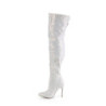 Pleaser ADORE-1018HCT Transparent Silver Hologram Tinte