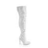 Pleaser ADORE-1018HCT Transparent Silver Hologram Tinte