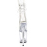 Pleaser FLAMINGO-1018C Transparent Sale Women