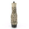 Pleaser DELIGHT-1002LP Tan Leopard Print Fabric Black