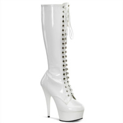 Pleaser DELIGHT-2023 knee high boots heels