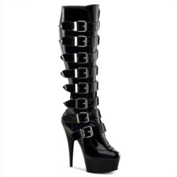 Pleaser DELIGHT-2049 knee high boots heels