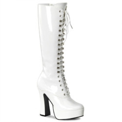 Pleaser ELECTRA-2020 knee high boots heels