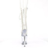 Pleaser FLAMINGO-1050C Transparent Sale Women